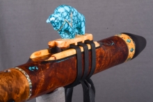Tasmanian Blackwood Burl Native American Flute, Minor, Low E-4, #4L4L (4)